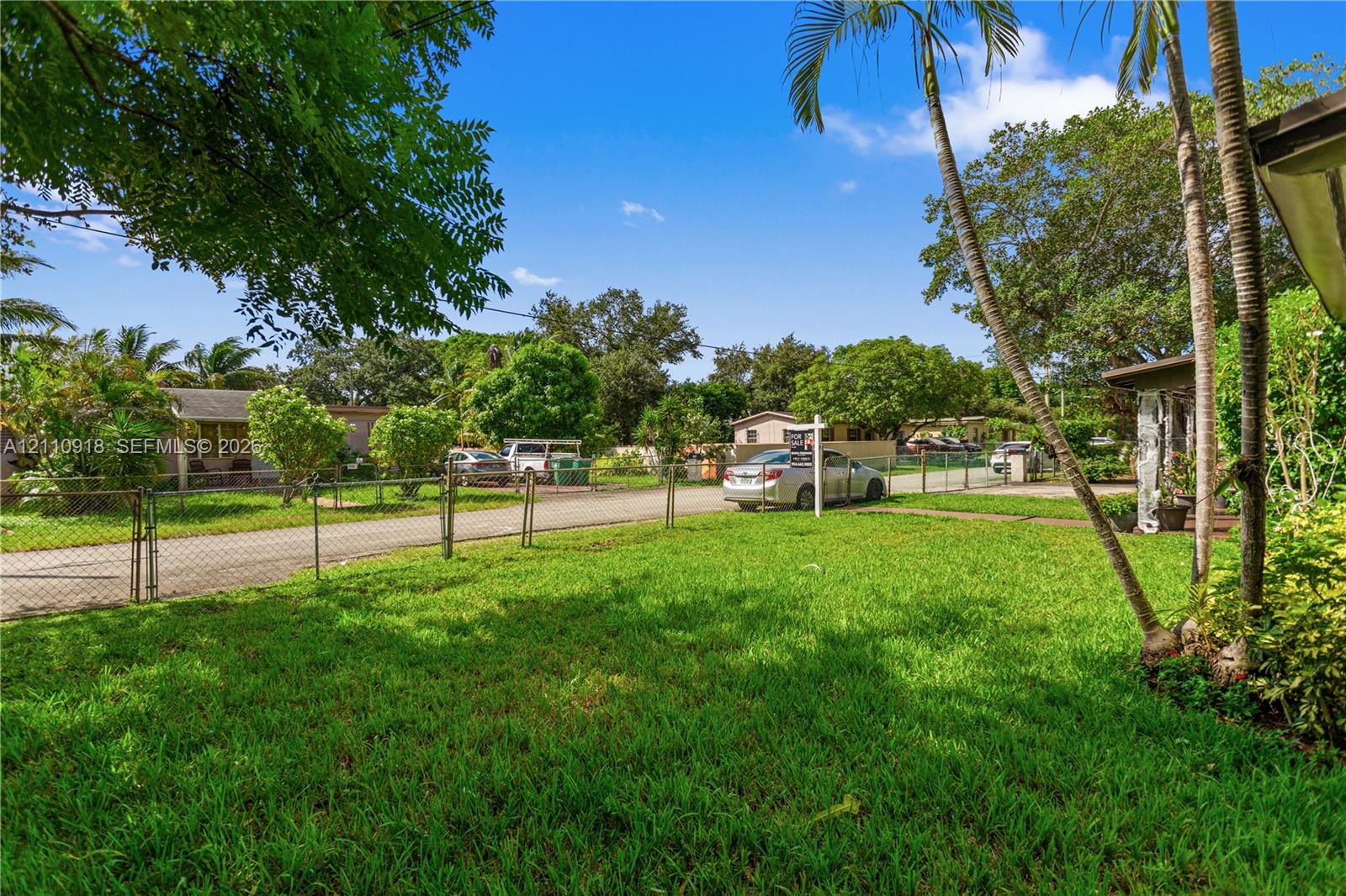 Expansive front lawn featuring mature palm trees a